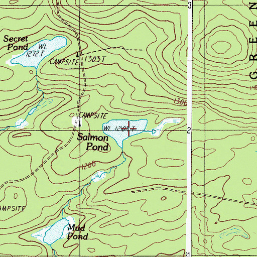 Topographic Map of Salmon Pond, ME