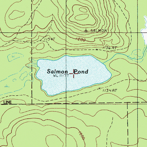 Topographic Map of Salmon Pond, ME
