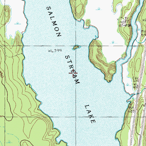 Topographic Map of Salmon Stream Lake, ME