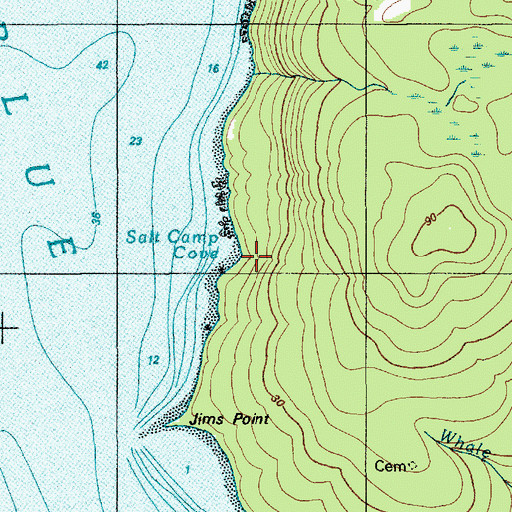 Topographic Map of Salt Camp Cove, ME
