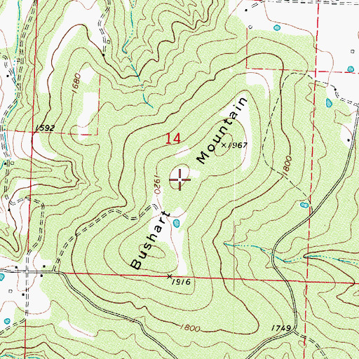 Topographic Map of Bushart Mountain, AR
