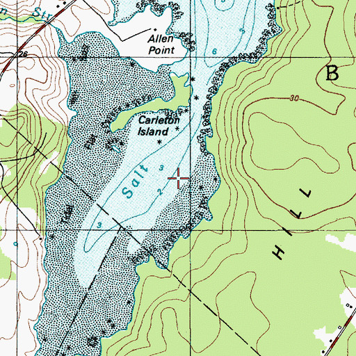 Topographic Map of Salt Pond, ME