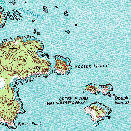 Topographic Map of Scotch Island, ME