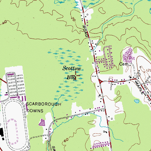 Topographic Map of Scottow Bog, ME