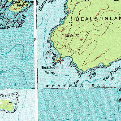 Topographic Map of Seaduck Point, ME