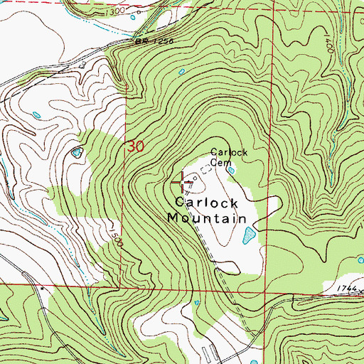 Topographic Map of Carlock Mountain, AR