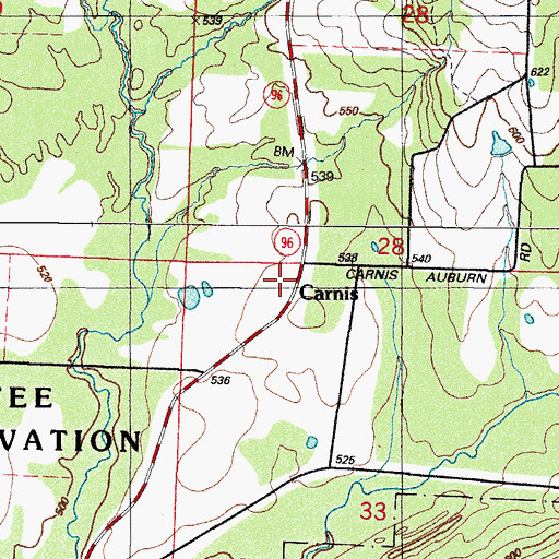 Topographic Map of Carnis, AR