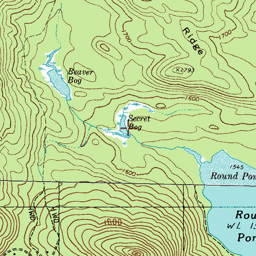 Topographic Map of Secret Bog, ME