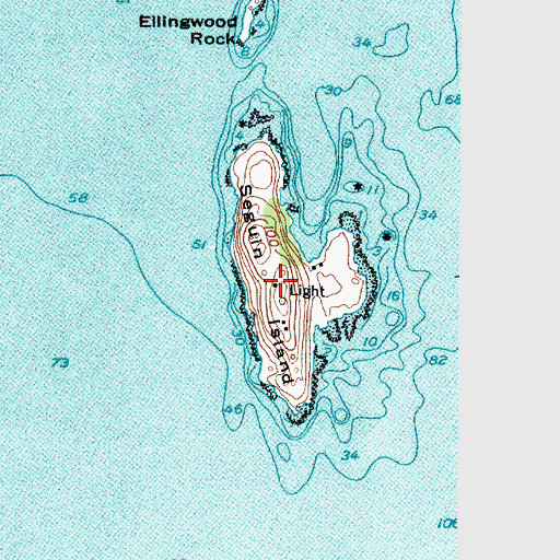 Topographic Map of Seguin Island, ME