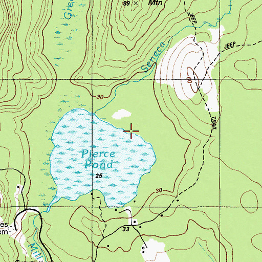 Topographic Map of Seneca Brook, ME