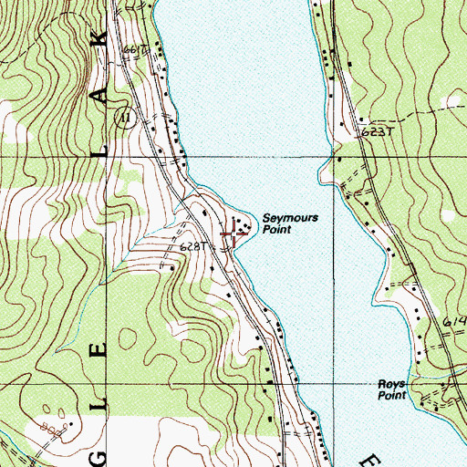 Topographic Map of Seymours Point, ME
