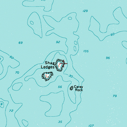 Topographic Map of Shag Ledges, ME
