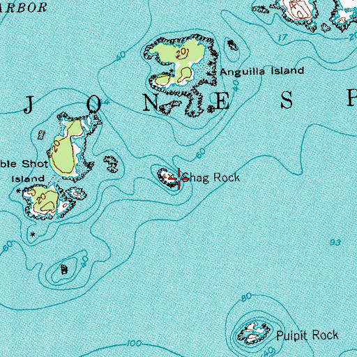 Topographic Map of Shag Rock, ME
