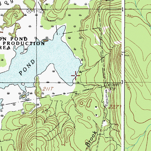Topographic Map of Shaw Brook, ME