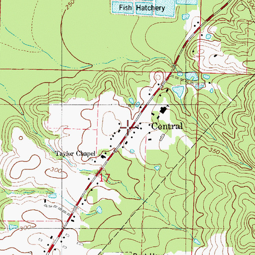 Topographic Map of Central, AR
