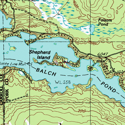 Topographic Map of Shepherd Island, ME