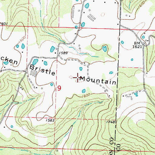 Topographic Map of Chicken Bristle Mountain, AR