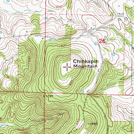 Topographic Map of Chinkapin Mountain, AR