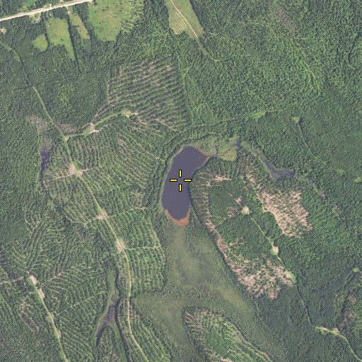 Aerial/Satellite Image of Simon Pond, ME