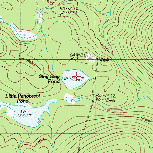 Topographic Map of Sing Sing Pond, ME