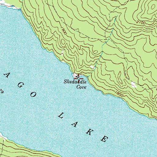 Topographic Map of Skedaddle Cove, ME