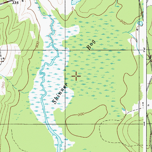 Topographic Map of Skinner Bog, ME