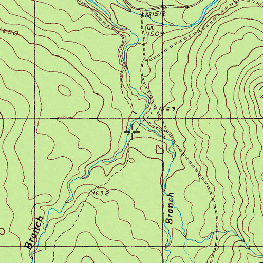 Topographic Map of Skunk Branch, ME