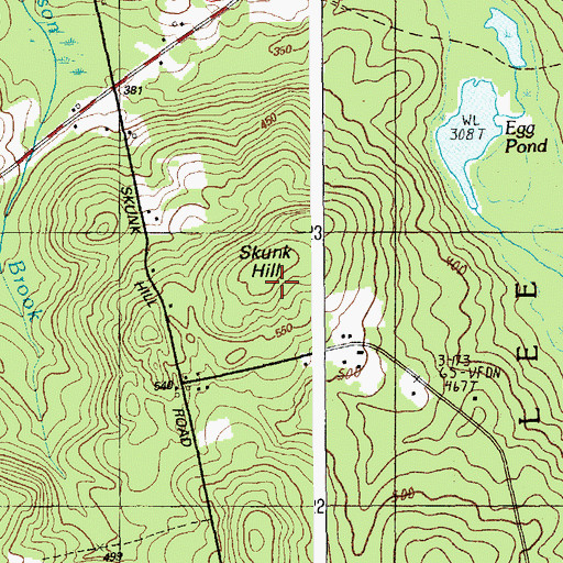 Topographic Map of Skunk Hill, ME
