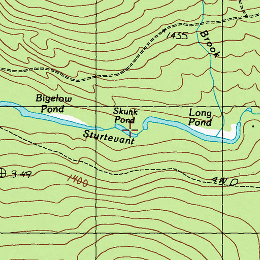 Topographic Map of Skunk Pond, ME