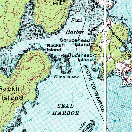 Topographic Map of Slins Island, ME