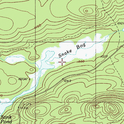 Topographic Map of Snake Bog, ME