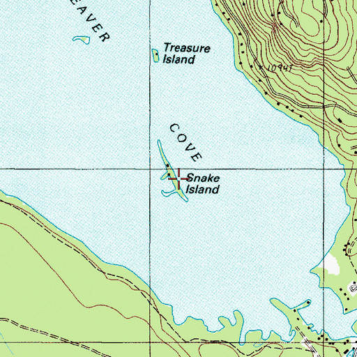 Topographic Map of Snake Island, ME