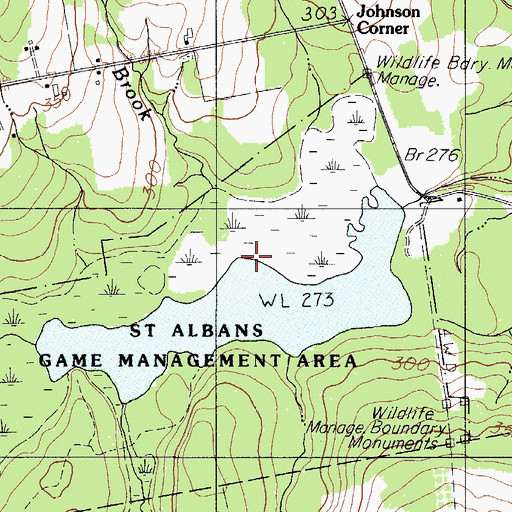 Topographic Map of Snell Brook, ME