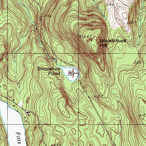 Topographic Map of Snowshoe Pond, ME