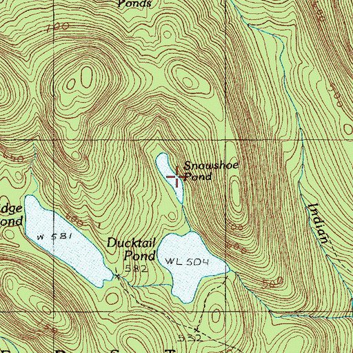 Topographic Map of Snowshoe Pond, ME
