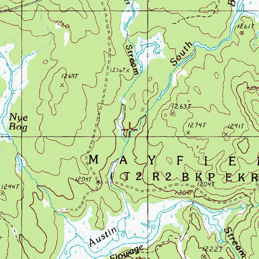 Topographic Map of South Branch Palmer Stream, ME