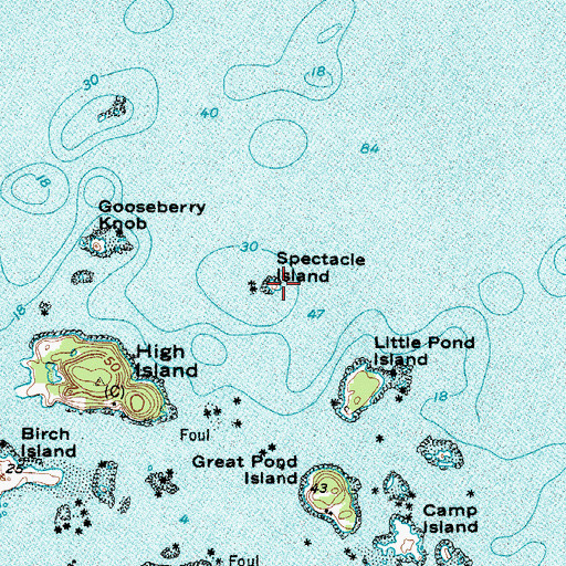 Topographic Map of Spectacle Island, ME