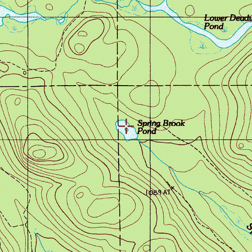 Topographic Map of Spring Brook Pond, ME