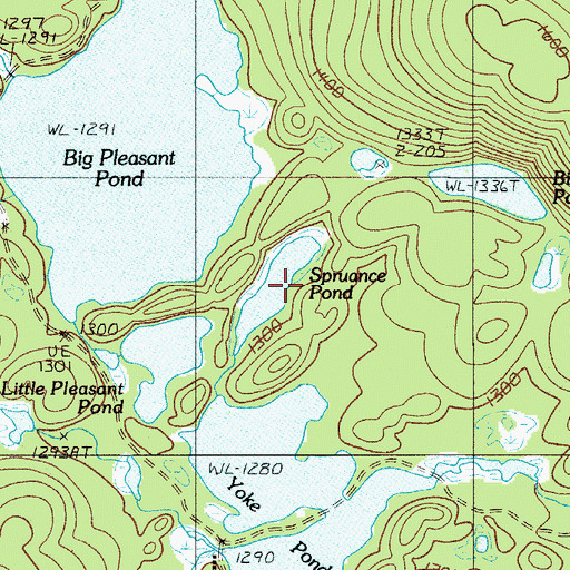 Topographic Map of Spruance Pond, ME