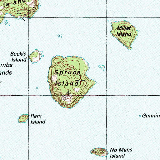 Topographic Map of Spruce Island, ME