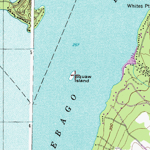 Topographic Map of Merrill Isle, ME