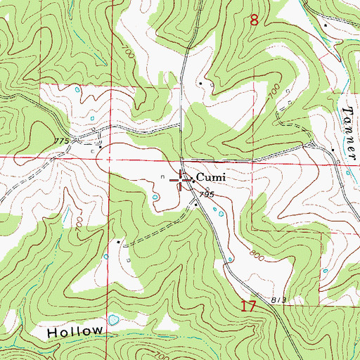Topographic Map of Cumi, AR
