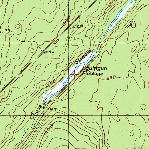Topographic Map of Squirtgun Flowage, ME