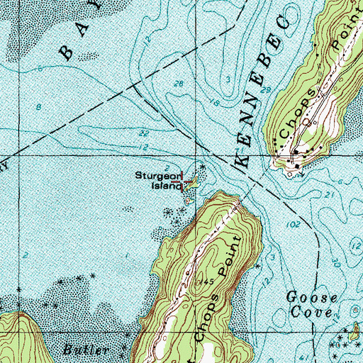 Topographic Map of Sturgeon Island, ME