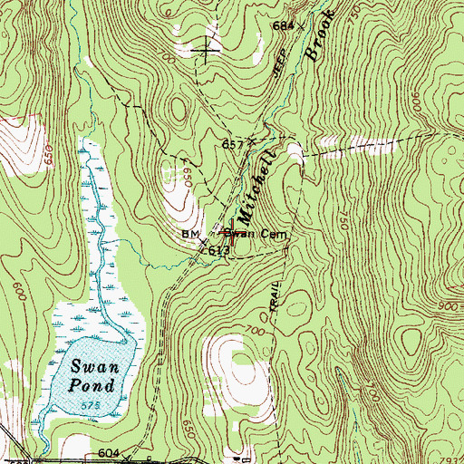 Topographic Map of Swan Cemetery, ME