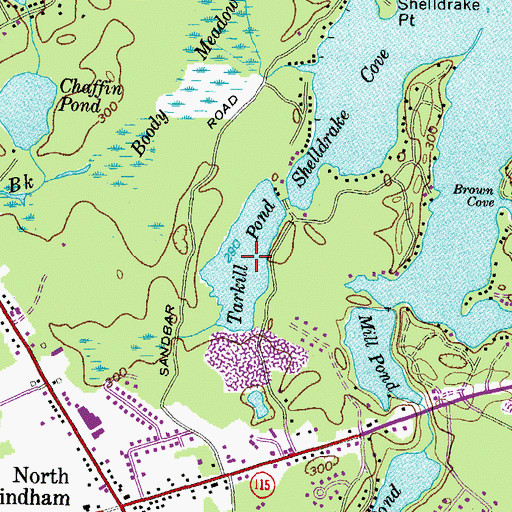 Topographic Map of Tarkill Pond, ME