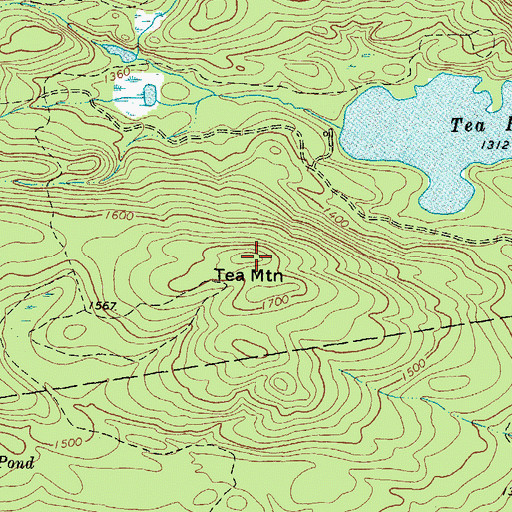 Topographic Map of Tea Mountain, ME