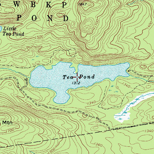 Topographic Map of Tea Pond, ME