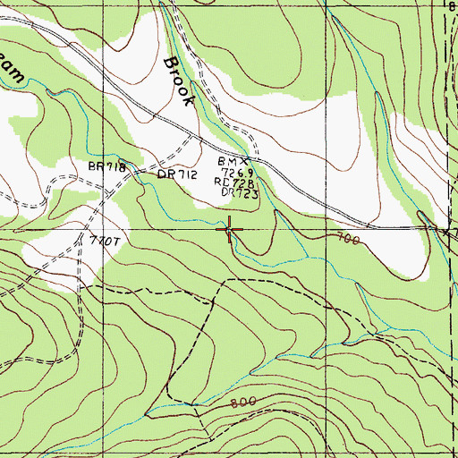 Topographic Map of Tenmile Brook, ME