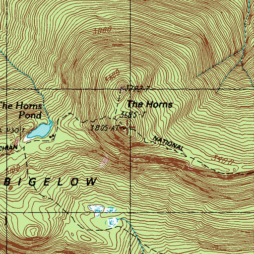 Topographic Map of The Horns, ME